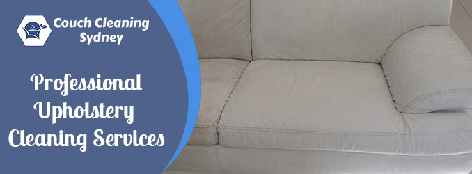 Professional Upholstery Cleaning Services